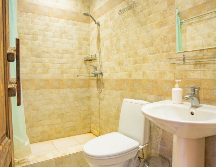 3-местный Стандарт под дерево - Отель «Руно» Гагра